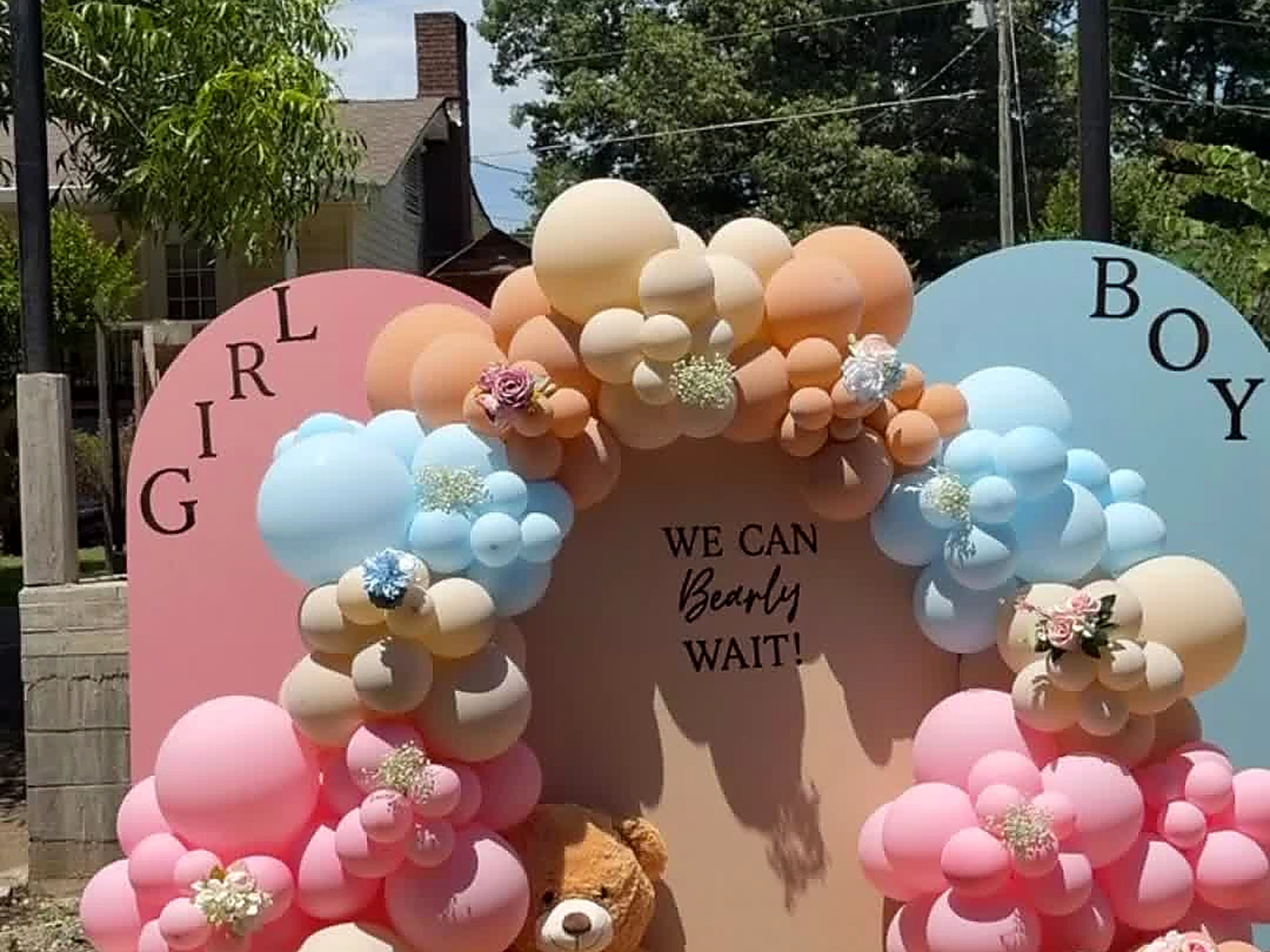 Gender Reveal